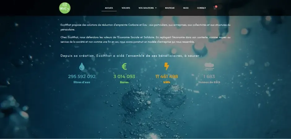 Aperçu du site Eco what
